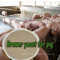 China Suppliers Brewer Yeast Powder with Free Sample